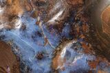 Electric Blue Boulder Opal - Queensland, Australia #227085-4